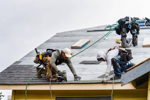 Professional Gutter Installation technician working in Walnut Grove, MS